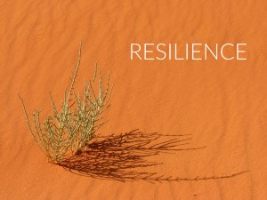 Resilience describes the ability of people to bounce back from adversity. Anyone who is not resilient can become resilient. It is a learned behavior.